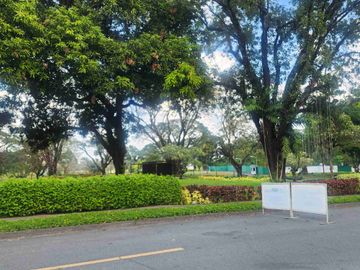 place photo 42