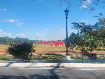 place photo 46