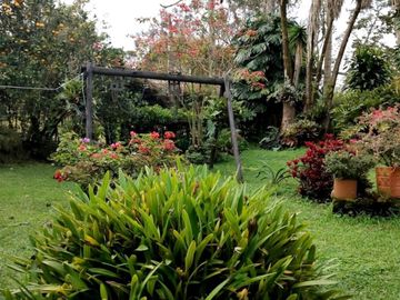 place photo 28
