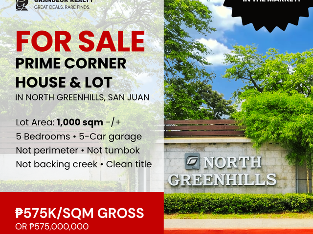 For Sale: Prime Corner House & Lot in North Greenhills Village, San Juan City