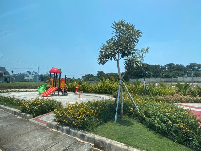 place photo 20