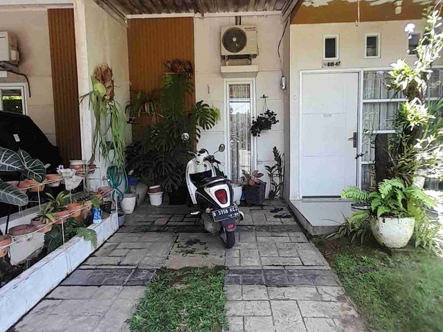 place photo 8