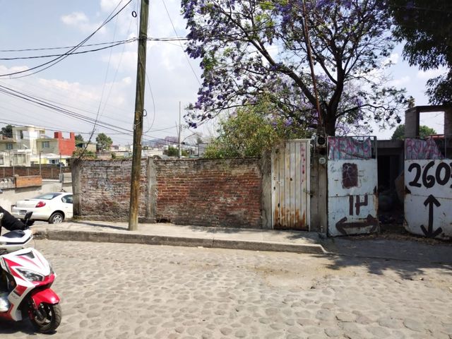 place photo 24