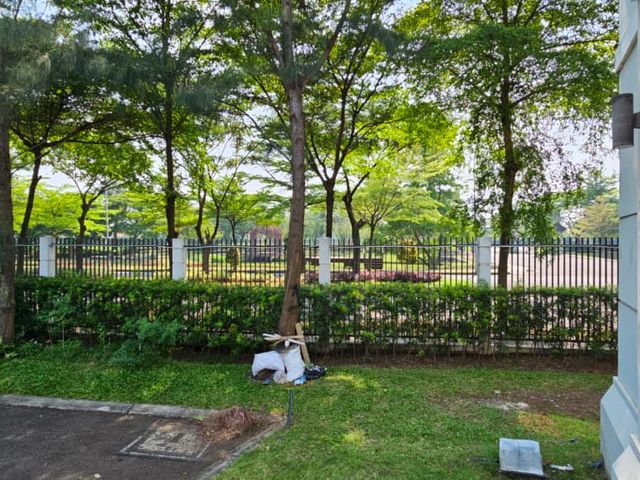 place photo 11