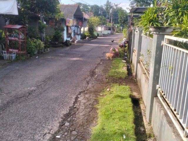 place photo 4
