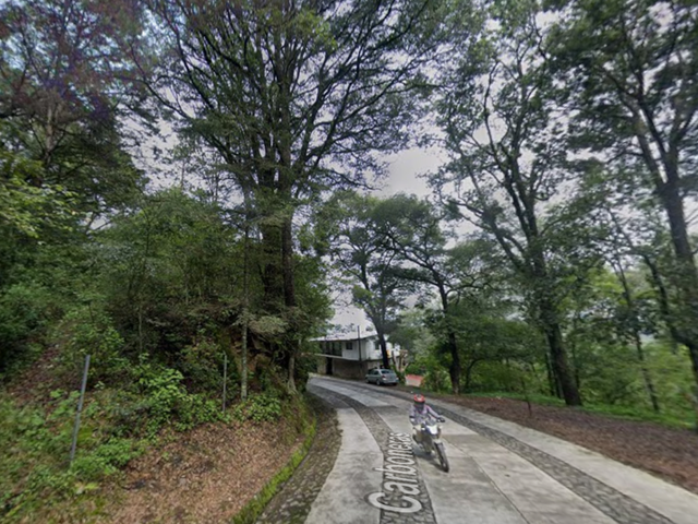 place photo 44