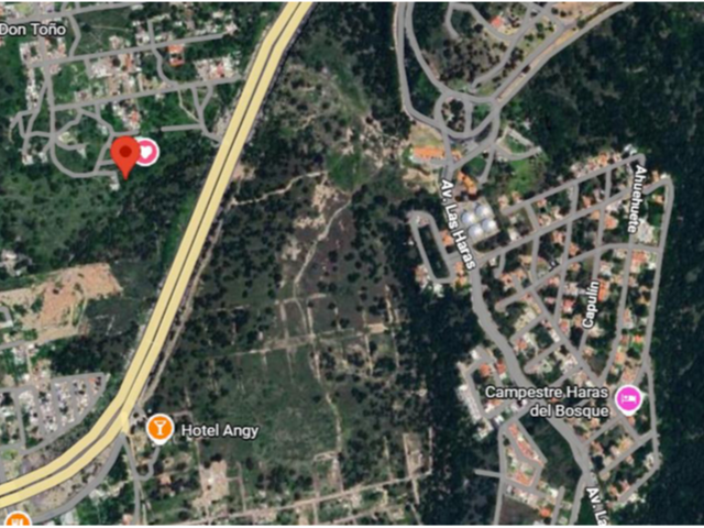 place photo 8