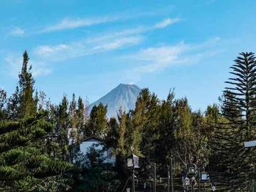 place photo 34