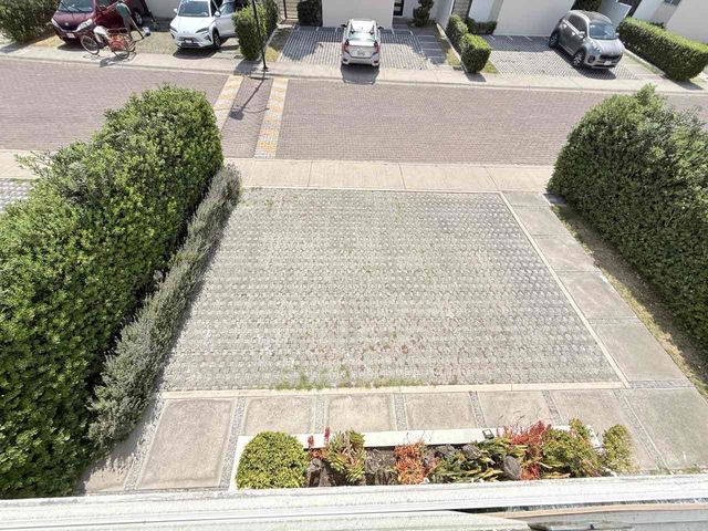 place photo 38