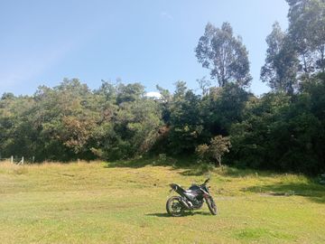 place photo 27