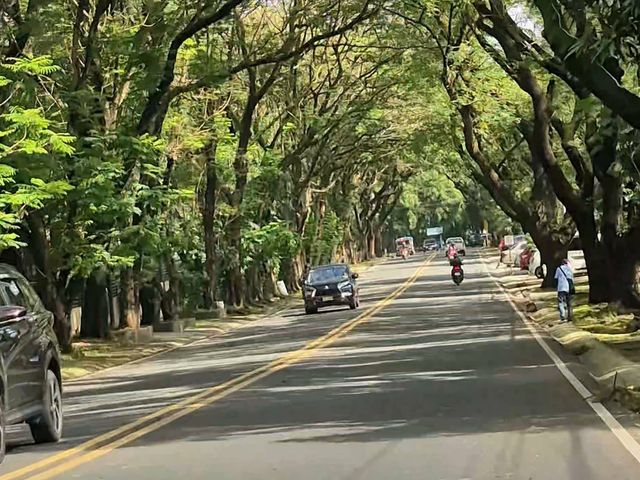 UPPER PART OF LGV: LOYOLA GRAND VILLAS LOT FOR SALE, QUEZON CITY