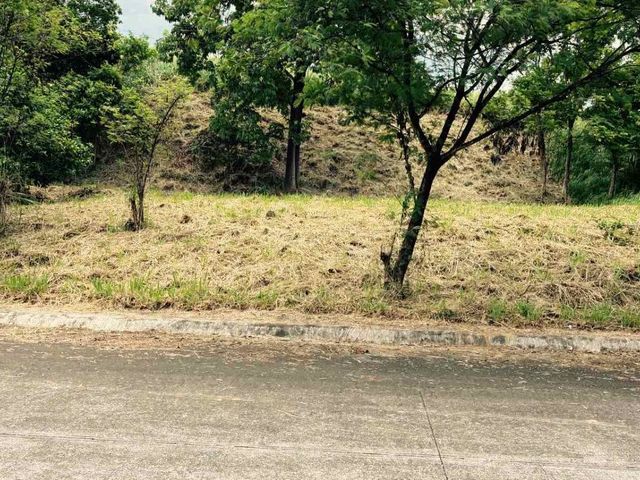 Parkridge Estate | Residential Lot For Sale - #9776