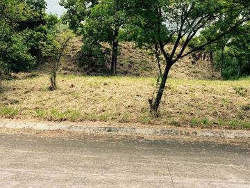 Parkridge Estate | Residential Lot For Sale - #9776