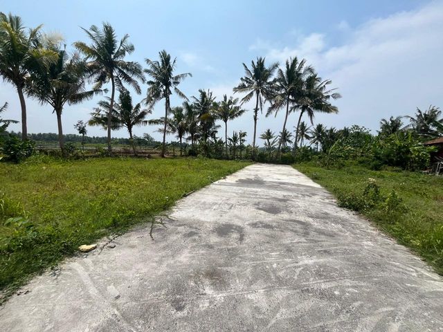 place photo 5