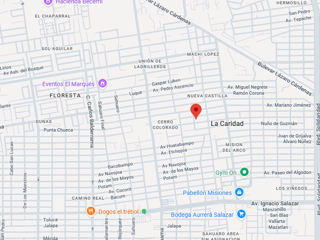 place photo 11
