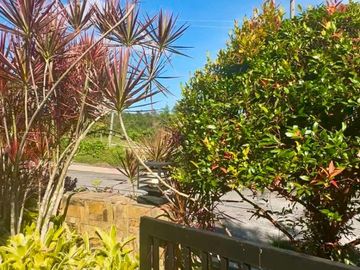 place photo 41