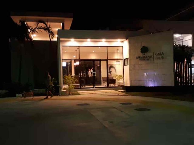 place photo 15