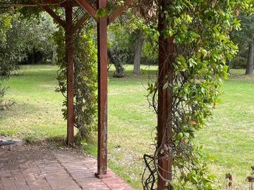 place photo 36