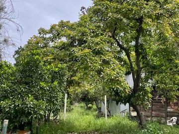 place photo 37