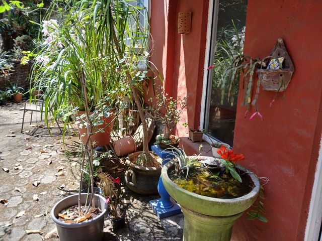 place photo 38