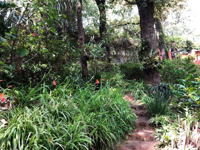 place photo 43
