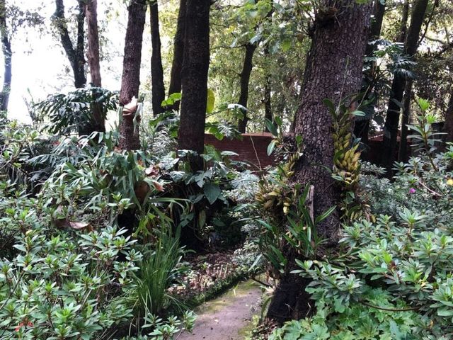 place photo 41