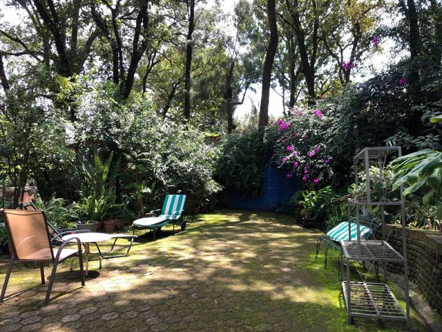 place photo 35