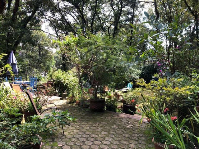 place photo 31