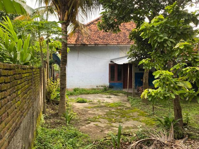 place photo 3