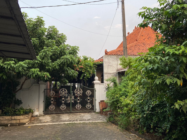 place photo 11
