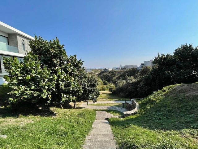 place photo 44