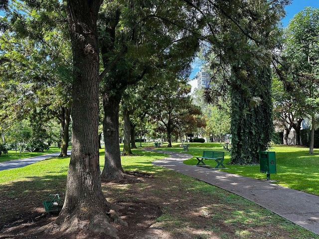place photo 31