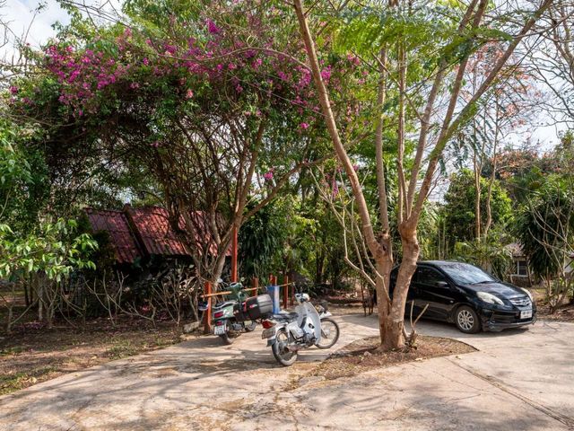 place photo 40