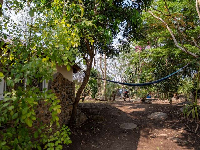 place photo 51