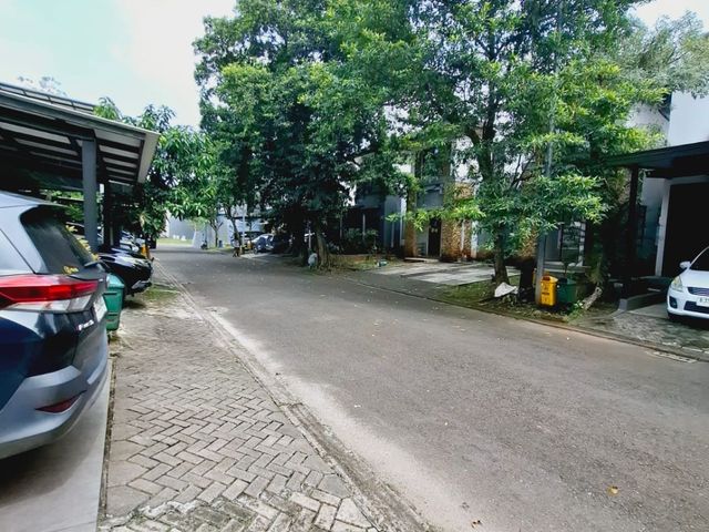 place photo 16