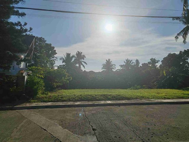 place photo 15