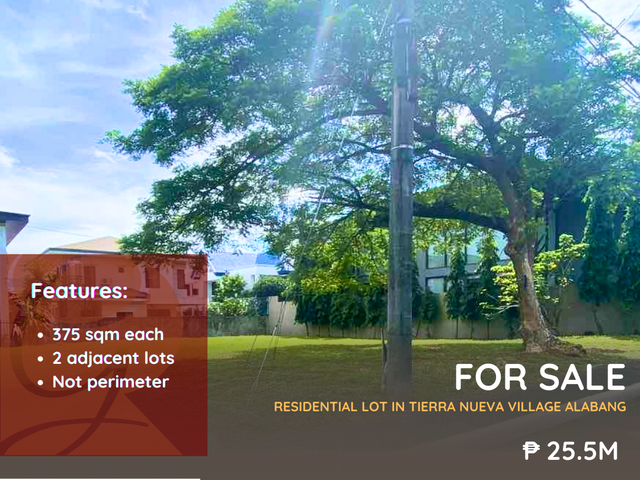 For Sale: Residential Lot in Tierra Nueva Village Alabang, Muntinlupa City