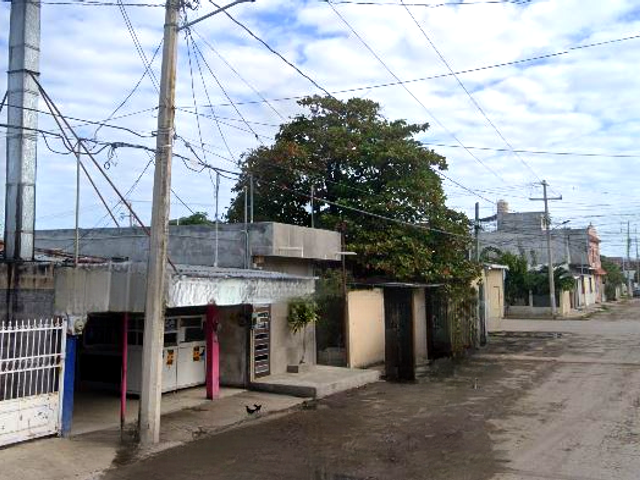 place photo 4