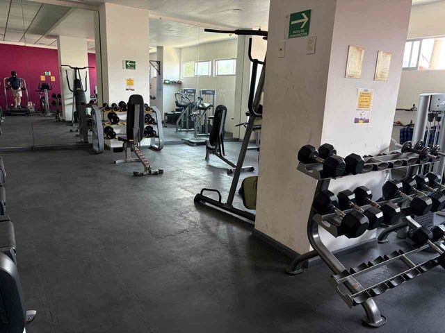 place photo 16