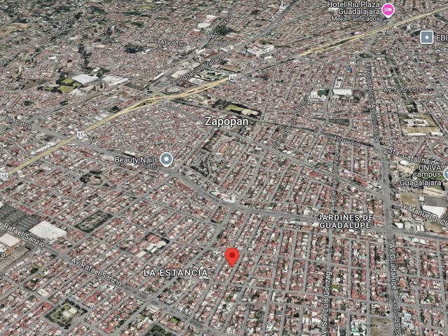 place photo 14