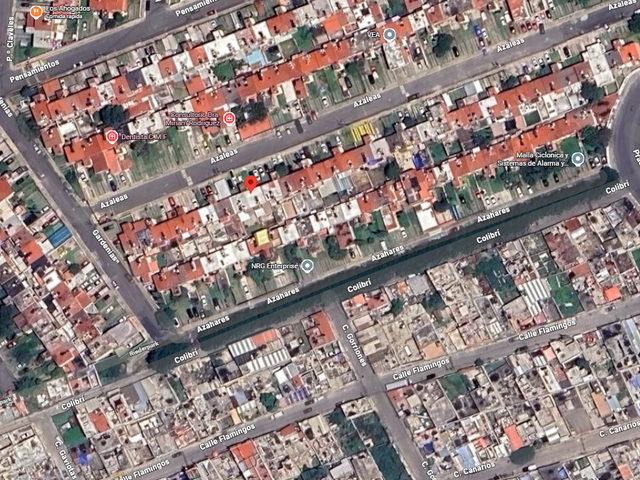 place photo 17