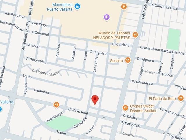 place photo 9