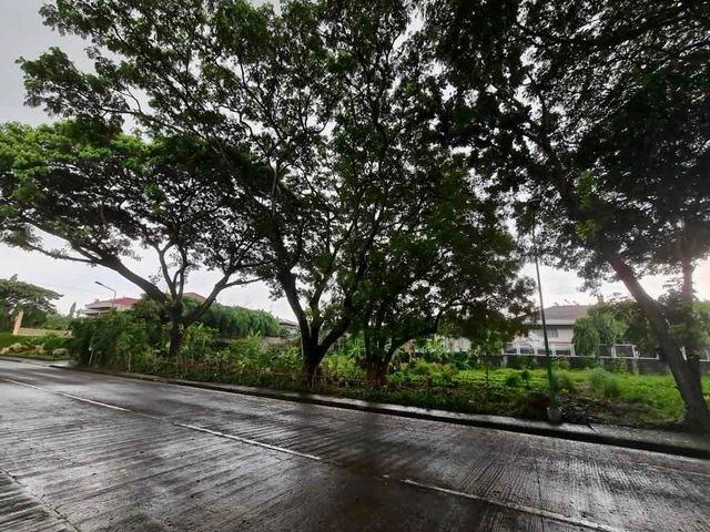 Ayala Alabang Village 932 sqm Vacant Lot For Sale Facing Southeast