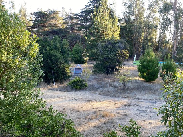 place photo 28