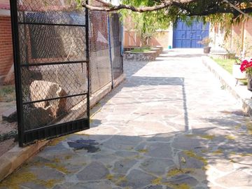 place photo 20