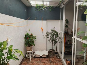 place photo 18