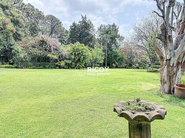 place photo 53