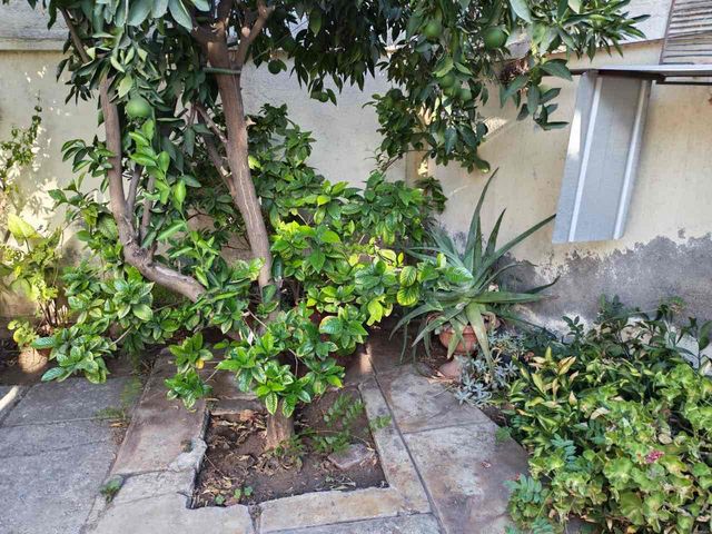 place photo 35