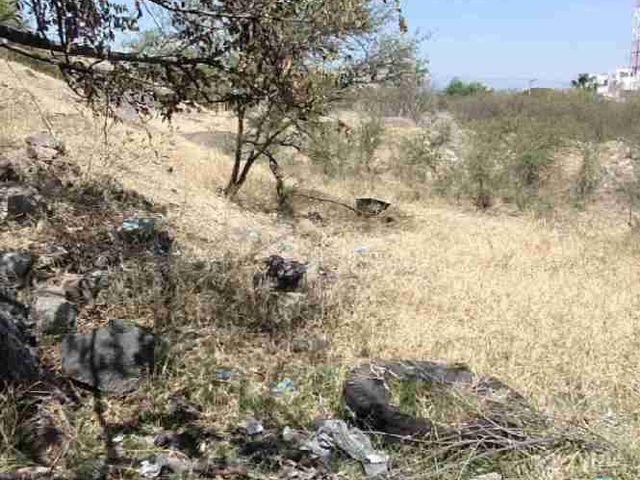 place photo 11