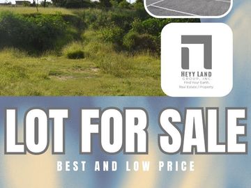 Residential Vacant Lot for Sale in  Multinational Village Paranaque